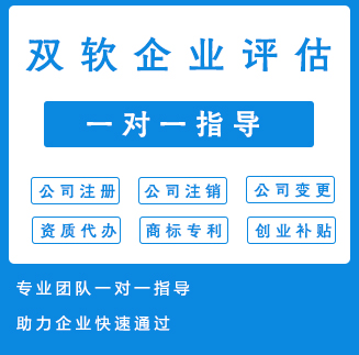 双软企业评估